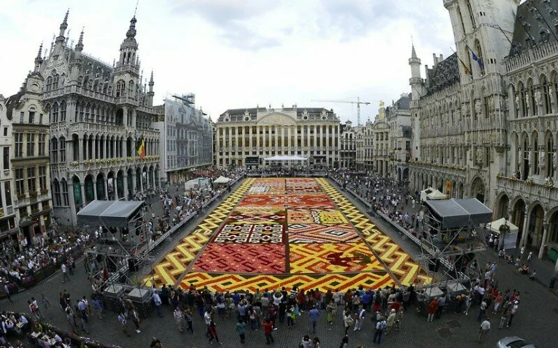 floralcarpet 1 800x499 Цветочный ковер в Брюсселе